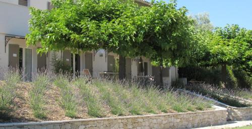 Résidence de gîtes La Sidoine du Mont-Ventoux - Location saisonnière - Crillon-le-Brave