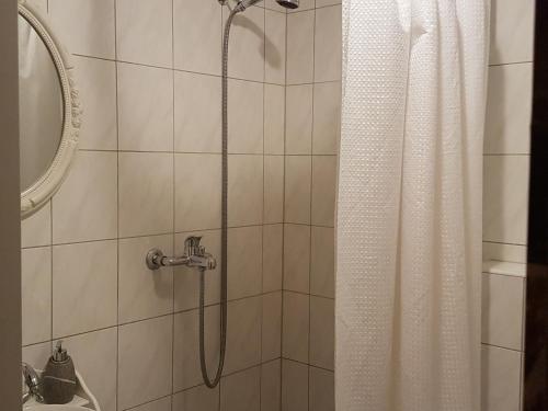 Basel Charme Apartments - image 7