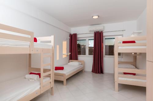 Hostel Free Bird - image 2