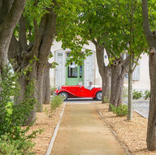 Cerise Carcassonne Sud