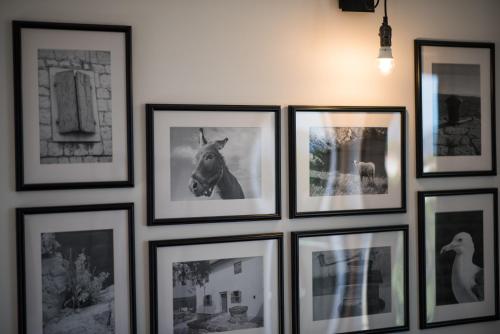 Franko & Ana apartments, Krk (Foto 8)