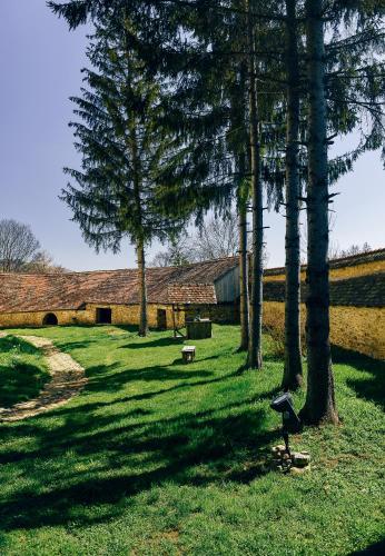 Casa Kraus - image 6
