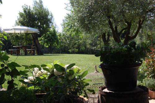 B&B Santa Fosca