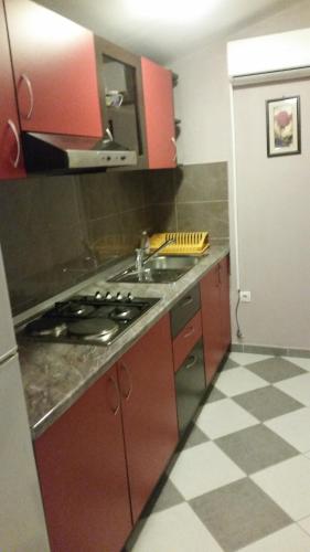 Apartment with Terrace image 10