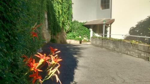 Hotel Ristorante Glavjc