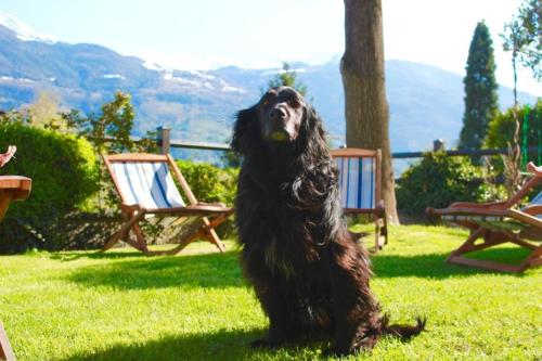 Bed & Breakfast Chez Berry chambre d'hôte Sarre