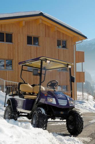 Montafon Chalets - image 2
