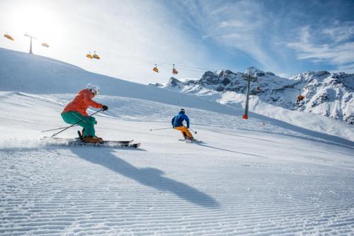 Montafon Chalets