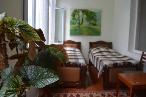 Sweet Home - main image