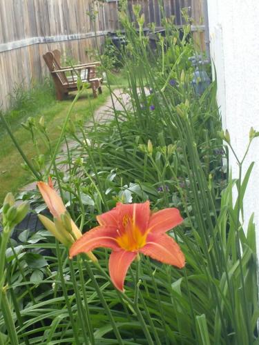 Сад, Winnipeg Homestay in Winnipeg (MB)
