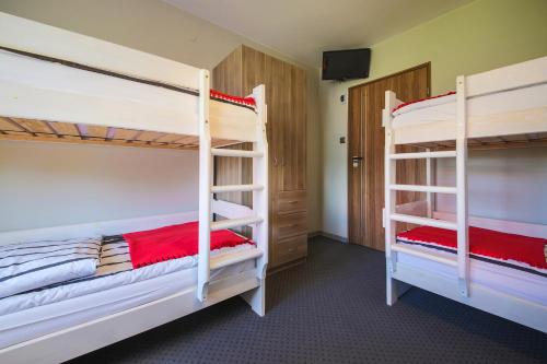 Family Room with Bunk Beds (5 Adults)
