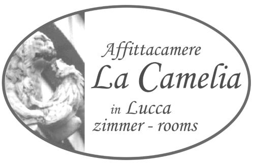 Affittacamere La Camelia 5