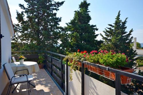 Apartments Branka - image 7