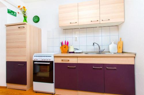 Apartment Mandic - image 12