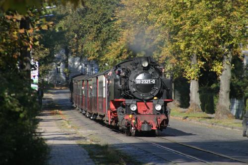 Hotel Doberaner Hof - image 13
