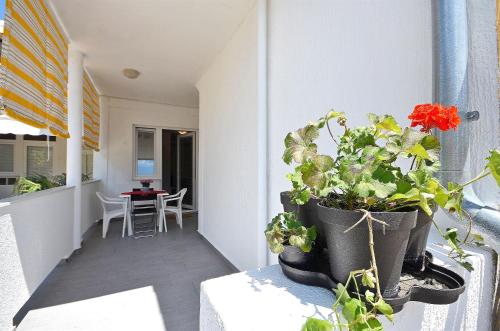 Apartment Ines - image 7