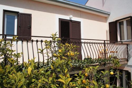  Apartment Anton, Pension in Slatine