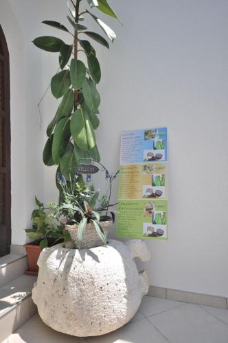Apartments Slavica - image 11