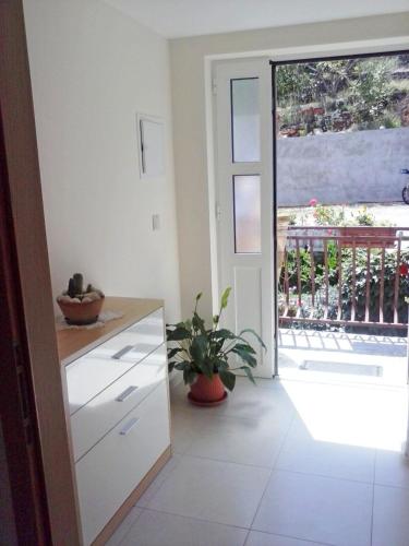 設施, Apartments Mara in 莫隆拿特