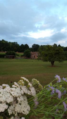  Le Montagnard in Montignies-sur-Roc