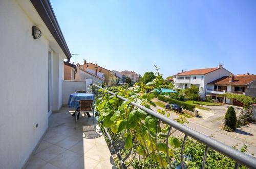 Apartments Romano - image 8