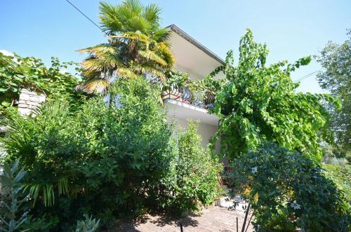 Apartments Massimo - image 8