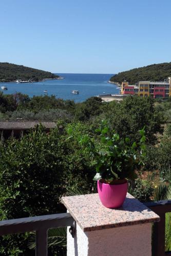 Apartments Antonieta - image 8