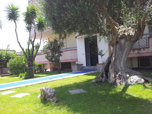 Vesuvio Bed & Breakfast - Ottaviano