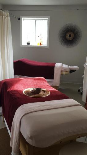 Carson Hot Springs Resort & Spa - image 3