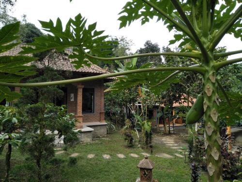 Dina Home Stay at Desa Wisata Wongayagede