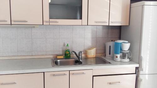 Konyha, Apartments with a parking space Buici, Dubrovnik - 12987 in Buici