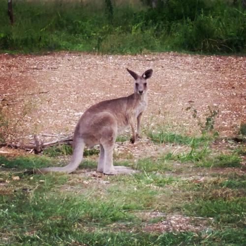 Casa Nostra Motel Rockhampton