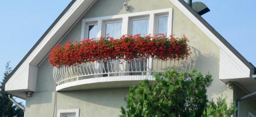  Ida Panzió in Budapest