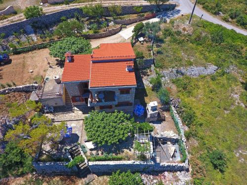  Suncokret in Novigrad