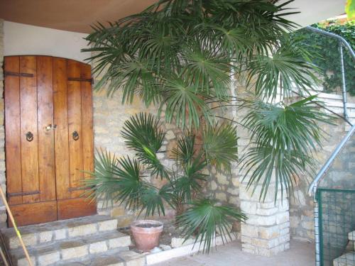 Villa Patrizia - image 2