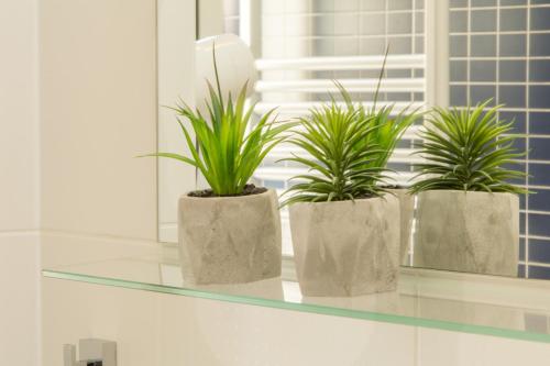 Foto - Hotel Delminivm