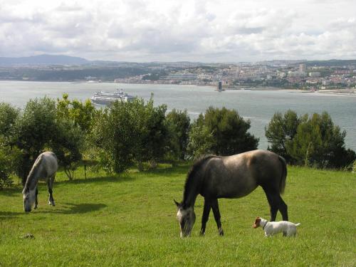 Quinta Tagus