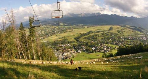 Zakopane - Harenda 13e