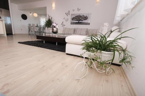 Apartment Lara, Кастель-Нови