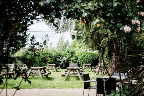Hinds Head - image 14
