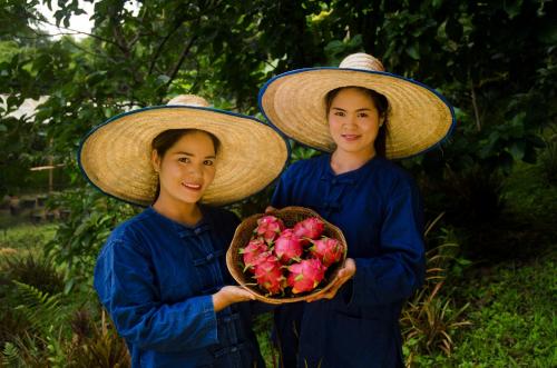 Pa Sak Tong 帕刹通图片