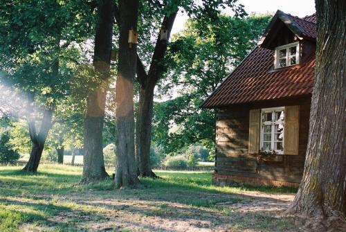 Leśne Apartamenty w Borach Tucholskich - Apartment - Bielska Struga