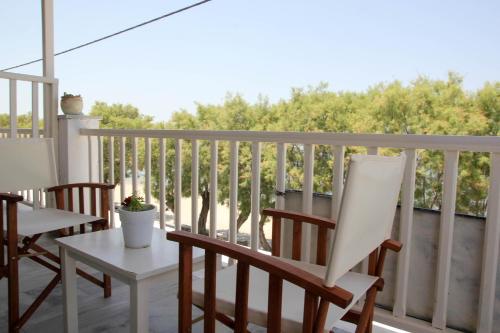 Hotel Zannet - image 3