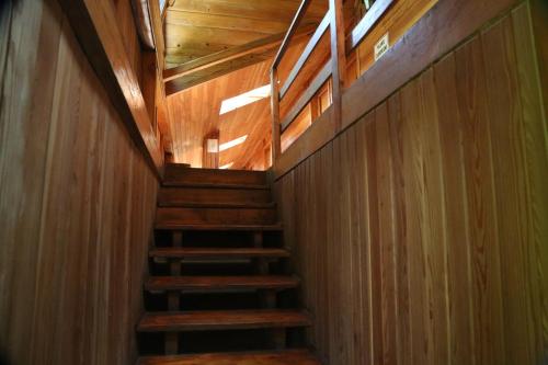 Accommodation in Michałowice