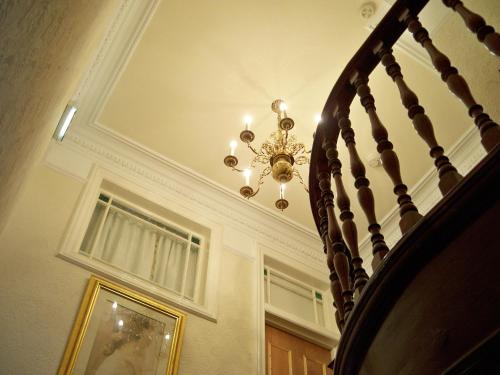 The Conifers - image 11