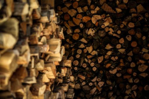 Apartaments La Neu - image 14