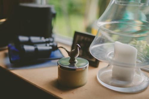 Riding Farm - image 6