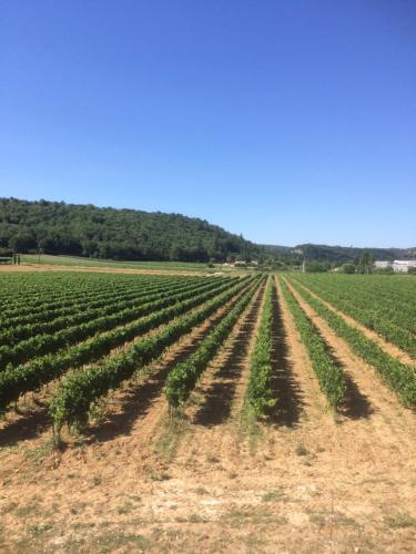 La grange de Papy