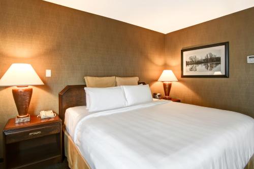 Chateau Lacombe Hotel - image 2