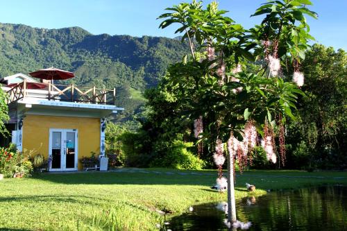 發現樹湖 Tree Lake B&B Hualien